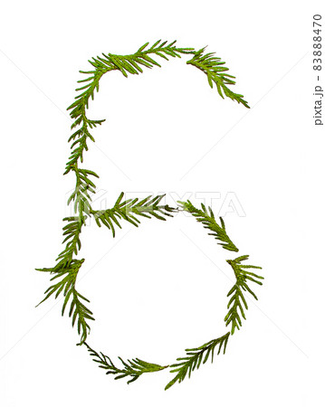 Number made from Christmas twigs isolated on white background 83888470