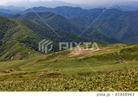 新緑の谷川連峰・平標山から見る平標小屋への登山道 新緑の谷川連峰・平標山から見る平標小屋への登山道 83888963
