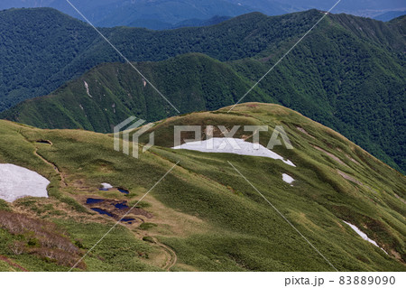 谷川連峰・平標山から見る平標新道の残雪と池塘 83889090