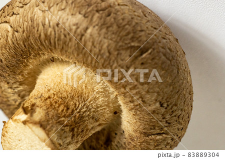 白バックのしいたけ　単品 83889304