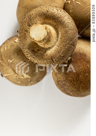 白バックのしいたけ　単品 83889309