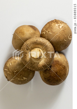 白バックのしいたけ　単品 83889315