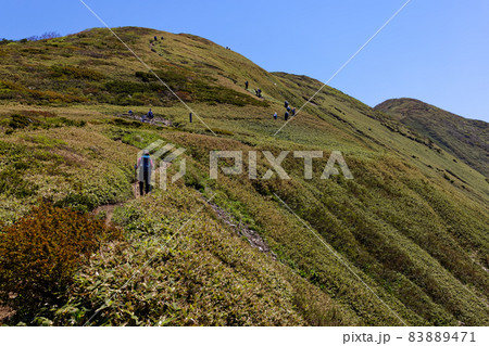 初夏の谷川連峰・平標山 松手山コースを行く登山者 初夏の谷川連峰・平標山 松手山コースを行く登山者 83889471
