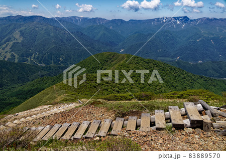 谷川連峰・平標山稜線から見る松手山コースの登山道と残雪の苗場山 83889570