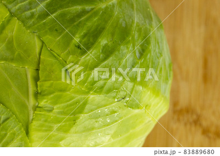 まな板の上　キャベツ　単品 83889680