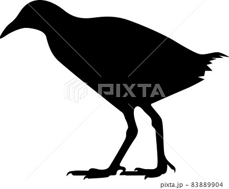 ヤンバルクイナ 83889904