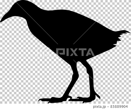 ヤンバルクイナ 83889904