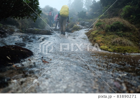 雨の日の登山　水が流れる雨の中の登山道 83890271