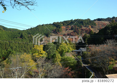 吉野山 紅葉 吉野山 紅葉 83890272