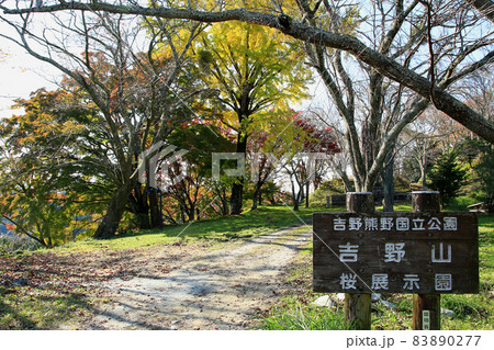 吉野山　紅葉 83890277