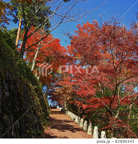 吉野山　紅葉 83890345