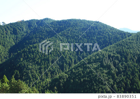 吉野山　紅葉 83890351