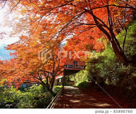 吉野山　紅葉 83890760