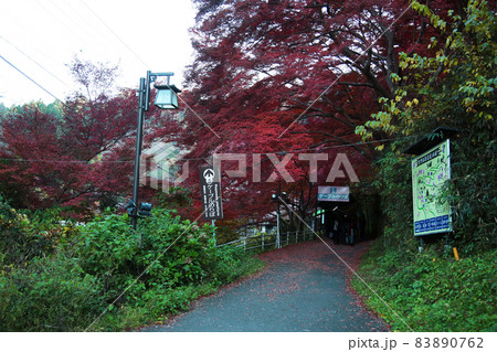 吉野山　紅葉 83890762