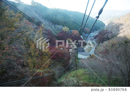 吉野山　紅葉 83890768