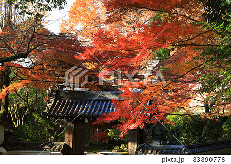 吉野山　紅葉 83890778