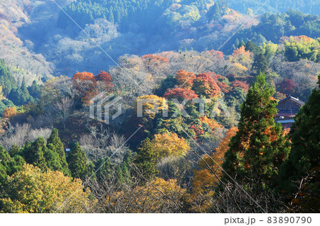 吉野山 紅葉 吉野山 紅葉 83890790