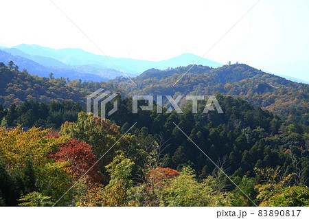 吉野山 紅葉 吉野山 紅葉 83890817