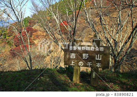 吉野山 紅葉 吉野山 紅葉 83890821