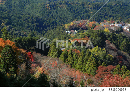 吉野山 紅葉 吉野山 紅葉 83890843