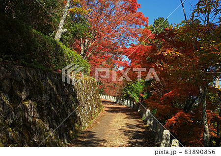 吉野山 紅葉 吉野山 紅葉 83890856