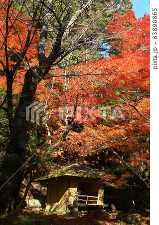 吉野山 紅葉 吉野山 紅葉 83890865