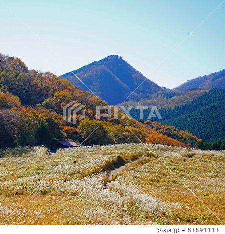 曽爾高原 すすき 曽爾高原 すすき 83891113