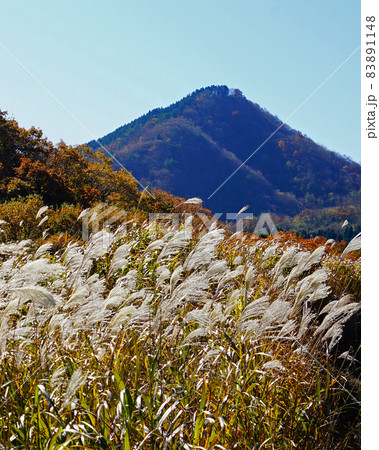 曽爾高原 すすき 曽爾高原 すすき 83891148