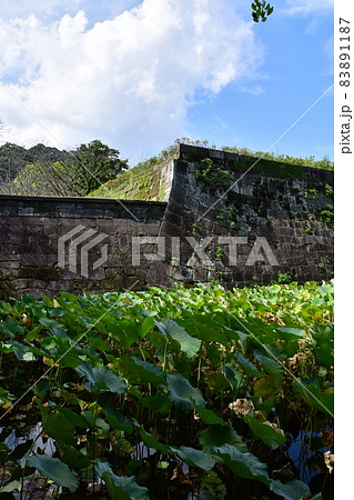 鹿児島城037 鹿児島城037 83891187