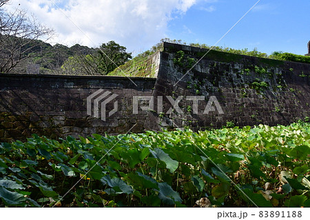 鹿児島城038 83891188