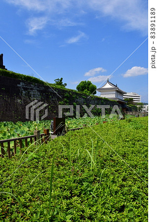 鹿児島城039 鹿児島城039 83891189