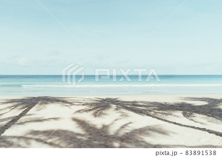 Palm tree at tropical beach on blue sky abstract background. Summer vacation and nature travel adventure concept. Palm tree at tropical beach on blue sky abstract background. Summer vacation and nature travel adventure concept. 83891538