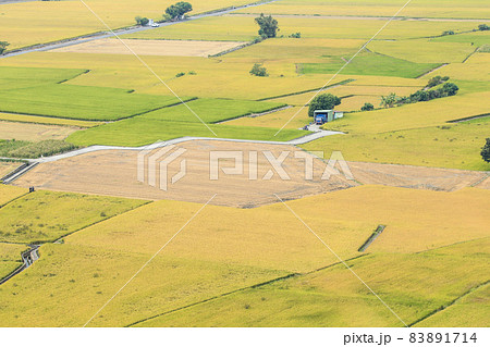 たんぼ 田んぼ 田圃 83891714