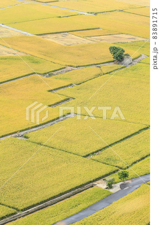 たんぼ 田んぼ 田圃 83891715
