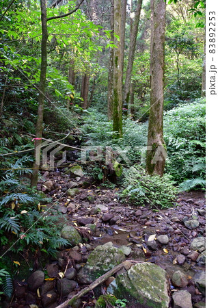 岩剣城09 岩剣城09 83892253