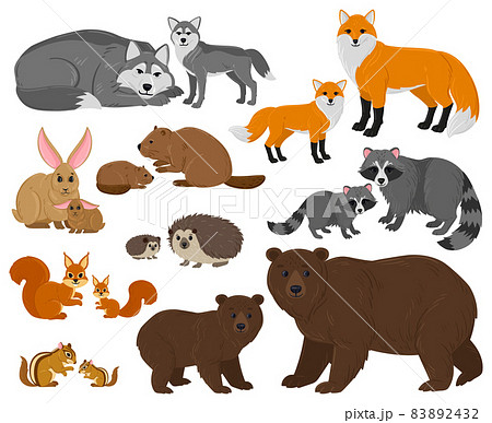Cartoon forest woodland animals mothers with cute babies. Forest wild animals parent, woods fauna mothers and children vector illustration set. Animals mom and kids 83892432
