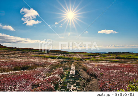 裾合平の秋 裾合平の秋 83895783