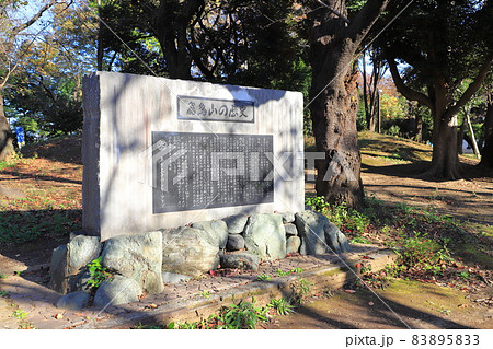 飛鳥山公園　「飛鳥山の歴史」記念碑 83895833