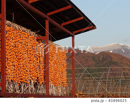 干し柿 ほしがき 柿 柿のれん 83896025