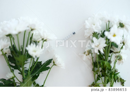 Two branches of white chrysanthemums in middle of syringe with needle 83896653