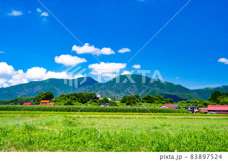 晴れ渡った草原の風景 83897524