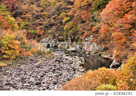 日光市栗山地域の衣川の紅葉 83898291