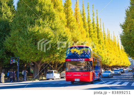 秋の神宮外苑　いちょう並木 83899251