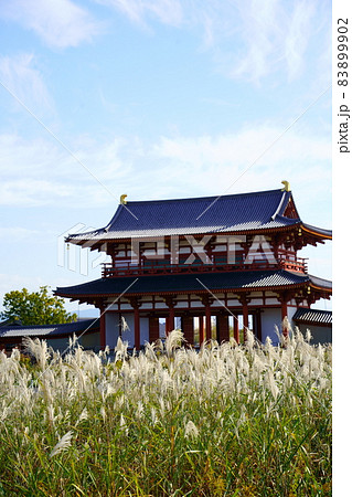 平城宮跡の朱雀門とススキ(奈良市) 平城宮跡の朱雀門とススキ(奈良市) 83899902