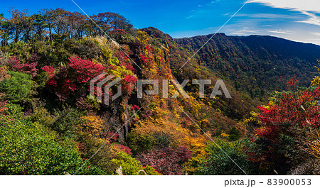 大浪池_早春にはマンサク、初夏はミヤマキリシマ、秋は紅葉と四季を楽しめる 大浪池_早春にはマンサク、初夏はミヤマキリシマ、秋は紅葉と四季を楽しめる 83900053