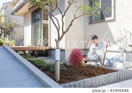 戸建ての庭に木を植える造園業の職人 戸建ての庭に木を植える造園業の職人 83900686