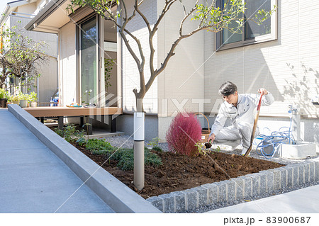 戸建ての庭に木を植える造園業の職人 83900687
