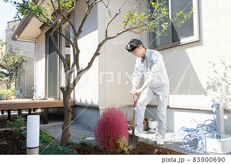 戸建ての庭に木を植える造園業の職人 83900690