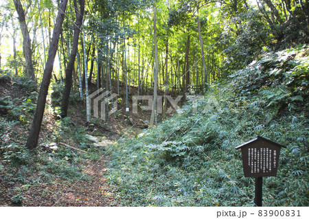 小机城･空堀/神奈川県横浜市港北区小机町 83900831