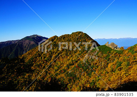 甲斐駒ヶ岳登山道から見る仙丈ヶ岳方面 83901535